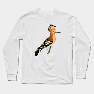 Hoopoe Long Sleeve T-Shirt